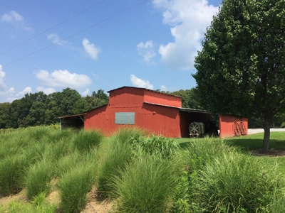 Southern Illinois Orlandini Winery Vineyard for Sale - image 11