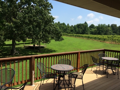 Southern Illinois Orlandini Winery Vineyard for Sale - image 7