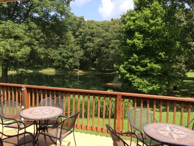 Southern Illinois Orlandini Winery Vineyard for Sale - image 6