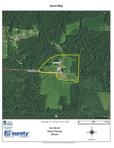 Southern Illinois Orlandini Winery Vineyard for Sale - image 18