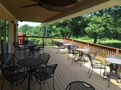 Southern Illinois Orlandini Winery Vineyard for Sale - image 5