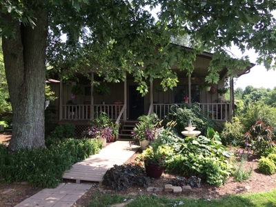 Southern Illinois Orlandini Winery Vineyard for Sale - image 16