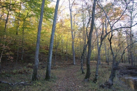 Fauquier County VA Horse Farm for Sale - image 21