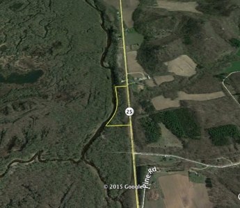 Buffalo County Hunting Land Online Auction Nelson, Wisconsin - image 1