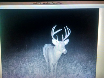 Buffalo County Hunting Land Online Auction Nelson, Wisconsin - image 33