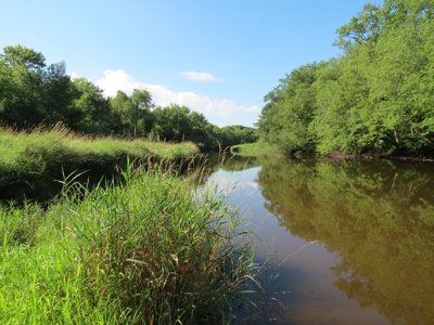Buffalo County Hunting Land Online Auction Nelson, Wisconsin - image 7
