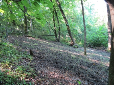 Buffalo County Hunting Land Online Auction Nelson, Wisconsin - image 17
