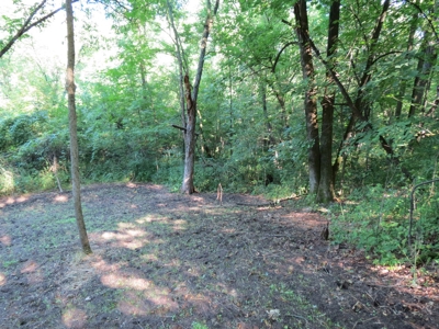 Buffalo County Hunting Land Online Auction Nelson, Wisconsin - image 21