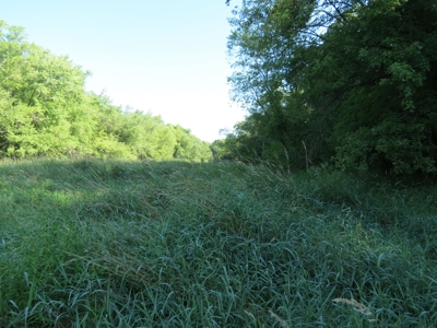 Buffalo County Hunting Land Online Auction Nelson, Wisconsin - image 9