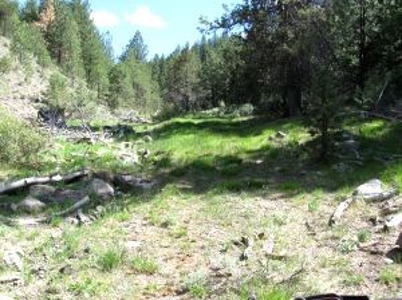 Burns, Oregon - Ideal Hunting-Recreation-Timber Property - image 31