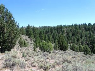 Burns, Oregon - Ideal Hunting-Recreation-Timber Property - image 15