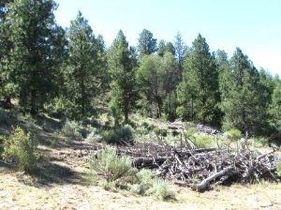 Burns, Oregon - Ideal Hunting-Recreation-Timber Property - image 21