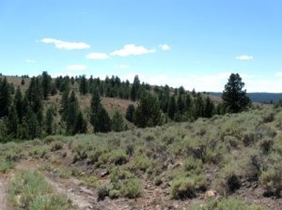 Burns, Oregon - Ideal Hunting-Recreation-Timber Property - image 16