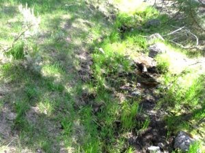 Burns, Oregon - Ideal Hunting-Recreation-Timber Property - image 36