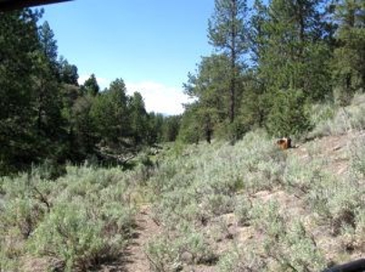 Burns, Oregon - Ideal Hunting-Recreation-Timber Property - image 35