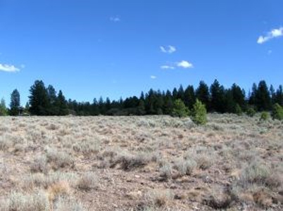 Burns, Oregon - Ideal Hunting-Recreation-Timber Property - image 49