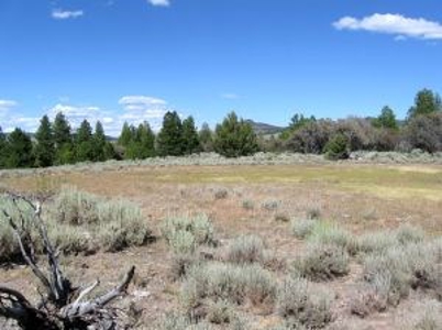 Burns, Oregon - Ideal Hunting-Recreation-Timber Property - image 44