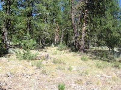 Burns, Oregon - Ideal Hunting-Recreation-Timber Property - image 39