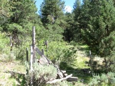 Burns, Oregon - Ideal Hunting-Recreation-Timber Property - image 33