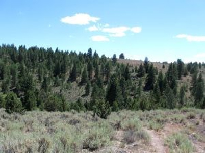 Burns, Oregon - Ideal Hunting-Recreation-Timber Property - image 14