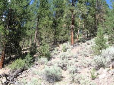 Burns, Oregon - Ideal Hunting-Recreation-Timber Property - image 37