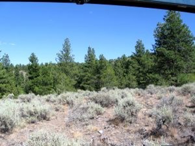 Burns, Oregon - Ideal Hunting-Recreation-Timber Property - image 26