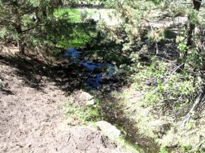 Burns, Oregon - Ideal Hunting-Recreation-Timber Property - image 18