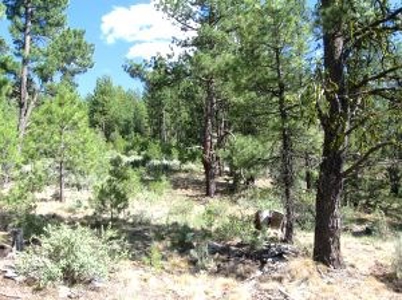 Burns, Oregon - Ideal Hunting-Recreation-Timber Property - image 38