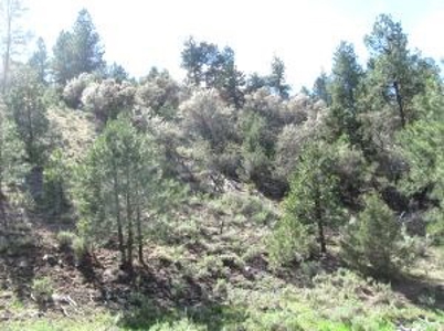 Burns, Oregon - Ideal Hunting-Recreation-Timber Property - image 34