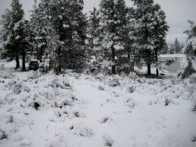 Burns, Oregon - Ideal Hunting-Recreation-Timber Property - image 8