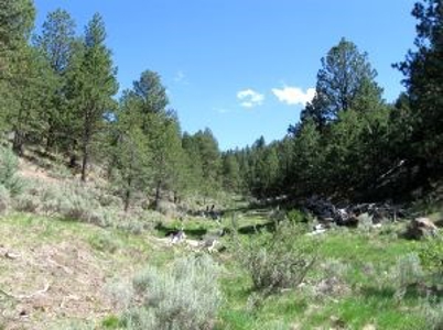Burns, Oregon - Ideal Hunting-Recreation-Timber Property - image 32
