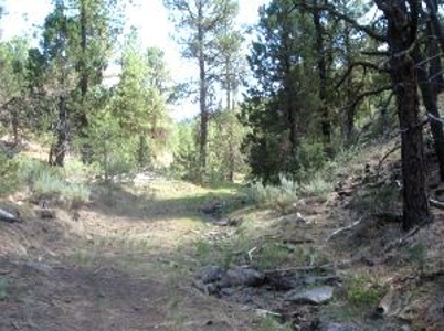 Burns, Oregon - Ideal Hunting-Recreation-Timber Property - image 29