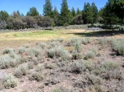 Burns, Oregon - Ideal Hunting-Recreation-Timber Property - image 43
