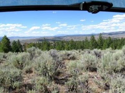 Burns, Oregon - Ideal Hunting-Recreation-Timber Property - image 25