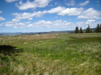 Burns, Oregon - Ideal Hunting-Recreation-Timber Property - image 12