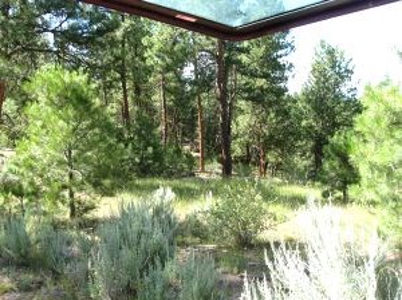 Burns, Oregon - Ideal Hunting-Recreation-Timber Property - image 40