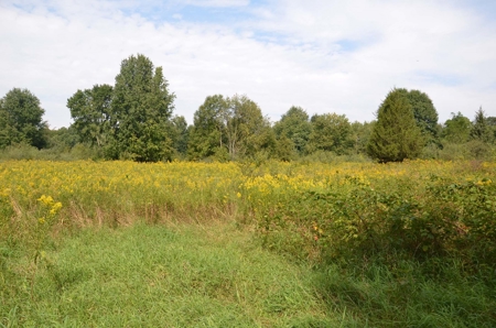 71 Private Lakefront Acres-Hunt-Fish-Camp-Build - image 2