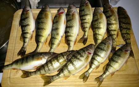 71 Private Lakefront Acres-Hunt-Fish-Camp-Build - image 12