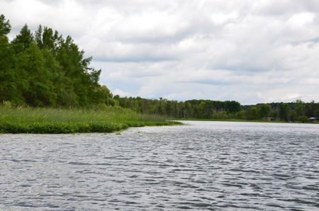 71 Private Lakefront Acres-Hunt-Fish-Camp-Build - image 17