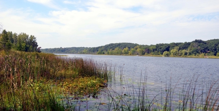 71 Private Lakefront Acres-Hunt-Fish-Camp-Build - image 1