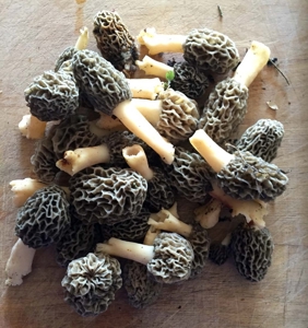 71 Private Lakefront Acres-Hunt-Fish-Camp-Build - image 11