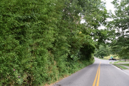 Commercial Building in Floyd VA for Sale at Auction! - image 37