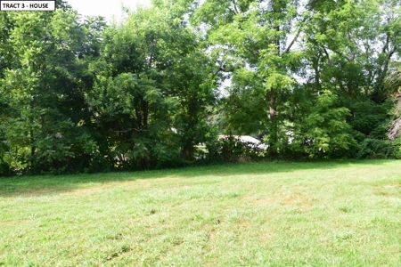 2 Story 1900's Farmhouse for Sale at Auction in Floyd VA! - image 4