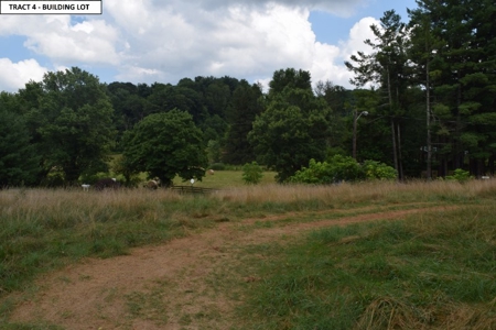 Vacant Building Lot for Sale at Auction in the town of Floyd - image 5