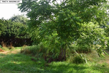 Vacant Building Lot for Sale at Auction in the town of Floyd - image 3