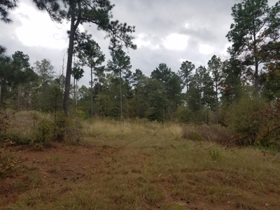22 Acres On Sam Rayburn Lake Front On Hiway 83 Near Pineland - image 10