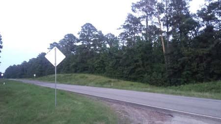 22 Acres On Sam Rayburn Lake Front On Hiway 83 Near Pineland - image 7