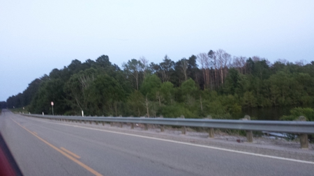 22 Acres On Sam Rayburn Lake Front On Hiway 83 Near Pineland - image 2