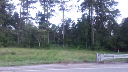 22 Acres On Sam Rayburn Lake Front On Hiway 83 Near Pineland - image 1