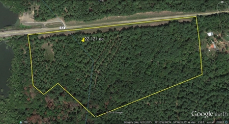 22 Acres On Sam Rayburn Lake Front On Hiway 83 Near Pineland - image 5